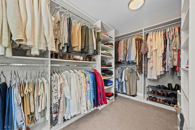 2730 Hooker St, Denver, CO 80211 - spacious closet featuring carpet floors