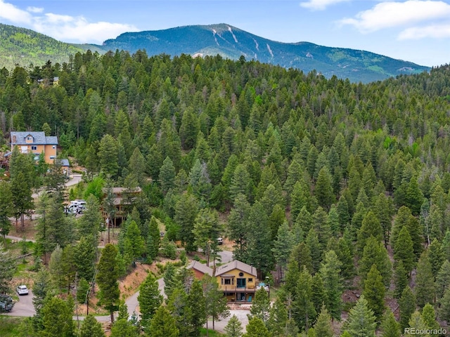 10090 Blue Sky Trl, Conifer, CO 80433 - photo 1