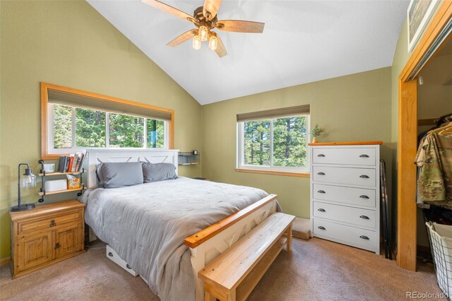 10090 Blue Sky Trl, Conifer, CO 80433 - photo 15