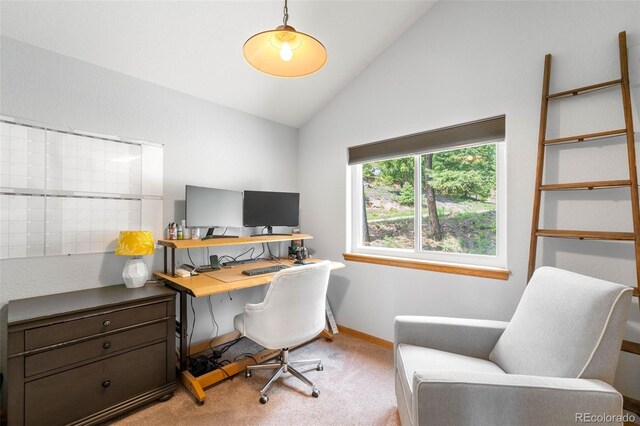 10090 Blue Sky Trl, Conifer, CO 80433 - photo 21