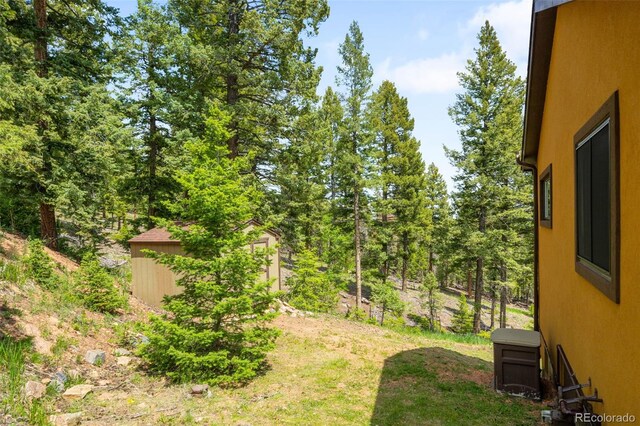 10090 Blue Sky Trl, Conifer, CO 80433 - photo 26