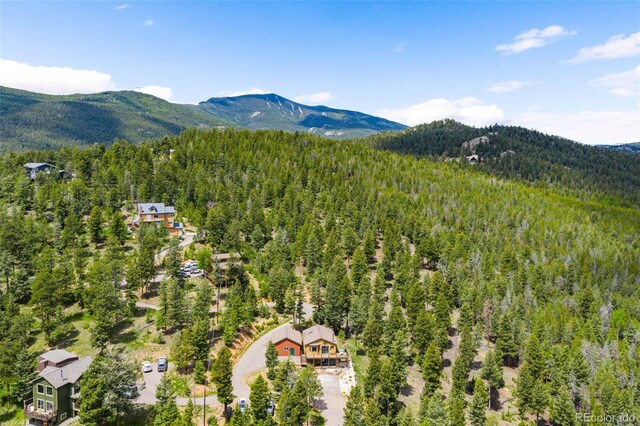 10090 Blue Sky Trl, Conifer, CO 80433 - photo 28