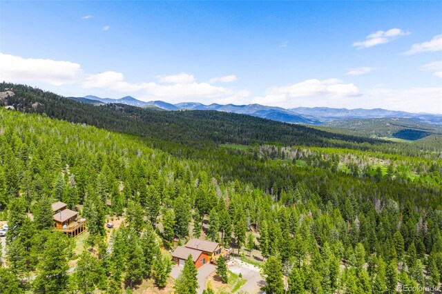 10090 Blue Sky Trl, Conifer, CO 80433 - photo 29