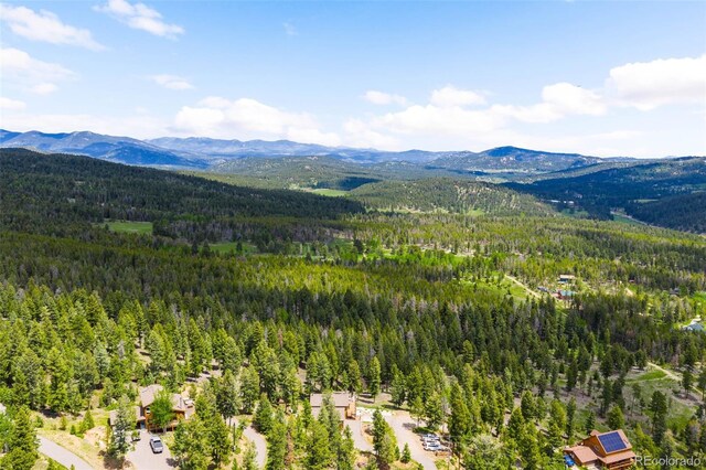 10090 Blue Sky Trl, Conifer, CO 80433 - photo 30