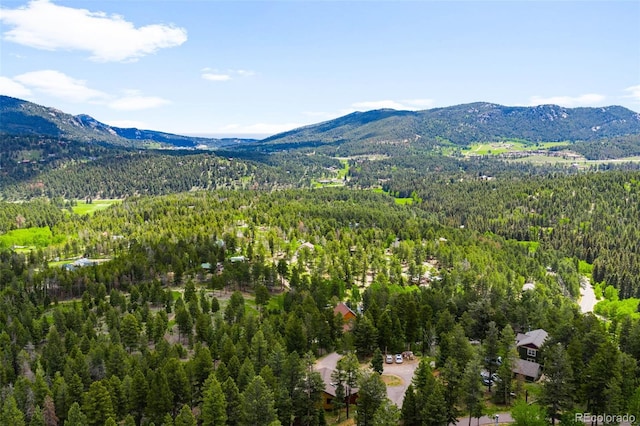 10090 Blue Sky Trl, Conifer, CO 80433 - photo 32