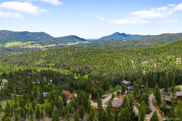 10090 Blue Sky Trl, Conifer, CO 80433 - photo 33