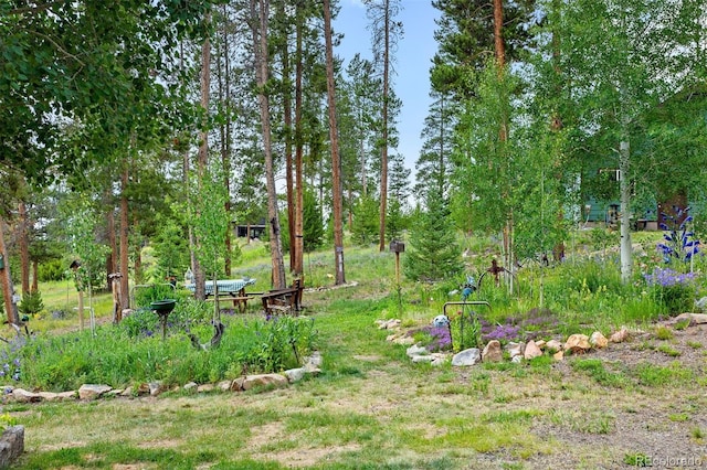 603 Aster Dr, Tabernash, CO 80478 - photo 40