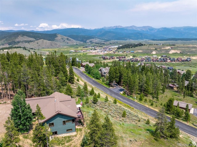 603 Aster Dr, Tabernash, CO 80478 - photo 42