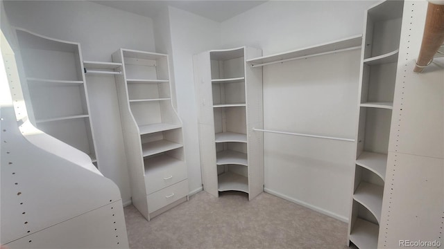 view of spacious closet