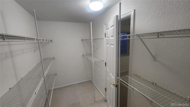 spacious closet with light colored carpet