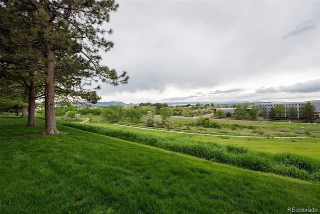 431 Wright St Unit 203, Lakewood, CO 80228 - view of grassy yard