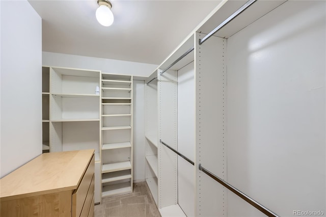 spacious closet with light colored carpet