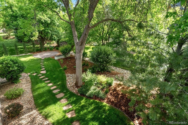 4532 Christensen Cir, Littleton, CO 80123 - view of green lawn