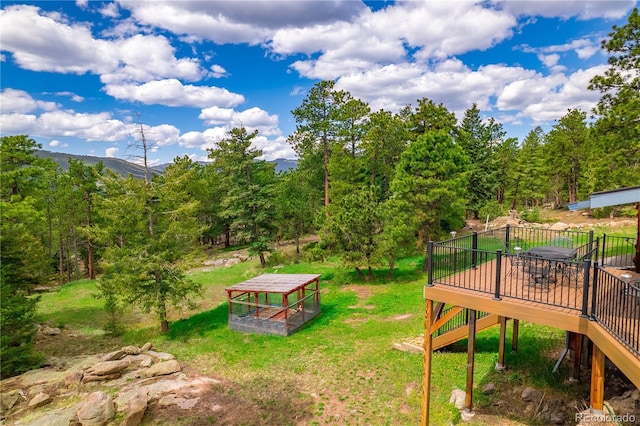 8838 Hillview Rd, Morrison, CO 80465 - photo 4