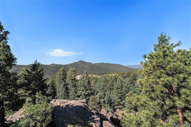 8838 Hillview Rd, Morrison, CO 80465 - photo 6