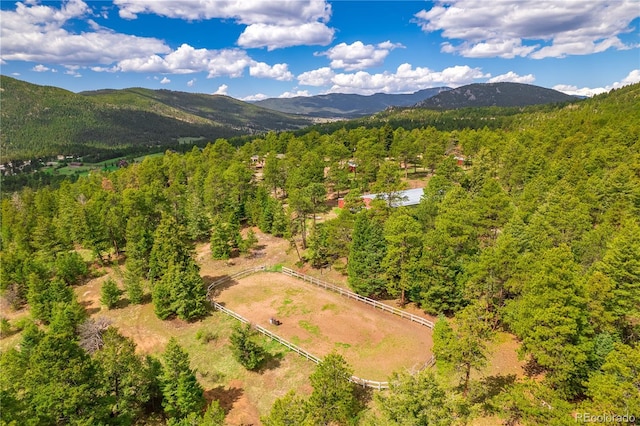 8838 Hillview Rd, Morrison, CO 80465 - photo 7