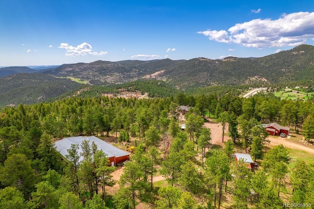 8838 Hillview Rd, Morrison, CO 80465 - photo 8