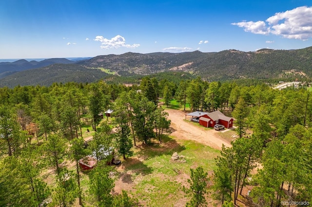 8838 Hillview Rd, Morrison, CO 80465 - photo 9