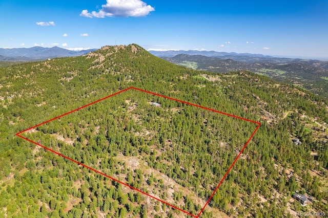 8838 Hillview Rd, Morrison, CO 80465 - photo 10