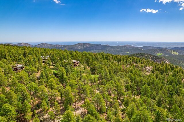 8838 Hillview Rd, Morrison, CO 80465 - photo 11
