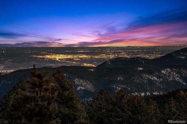8838 Hillview Rd, Morrison, CO 80465 - photo 29