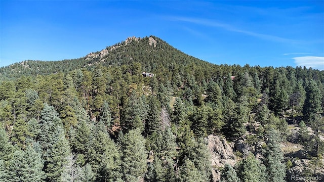 8838 Hillview Rd, Morrison, CO 80465 - photo 42