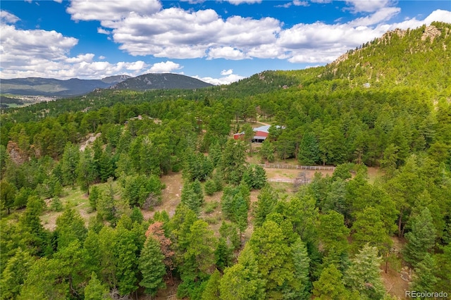 8838 Hillview Rd, Morrison, CO 80465 - photo 47