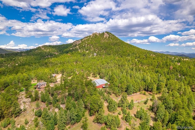 8838 Hillview Rd, Morrison, CO 80465 - photo 2