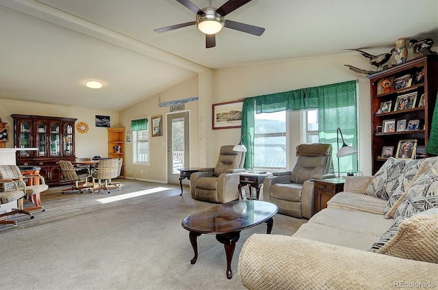 17211 County Road 220, Salida, CO 81201 - photo 5