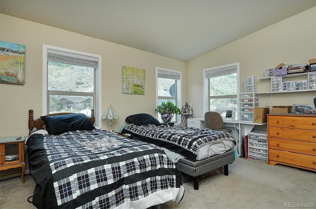 17211 County Road 220, Salida, CO 81201 - photo 13
