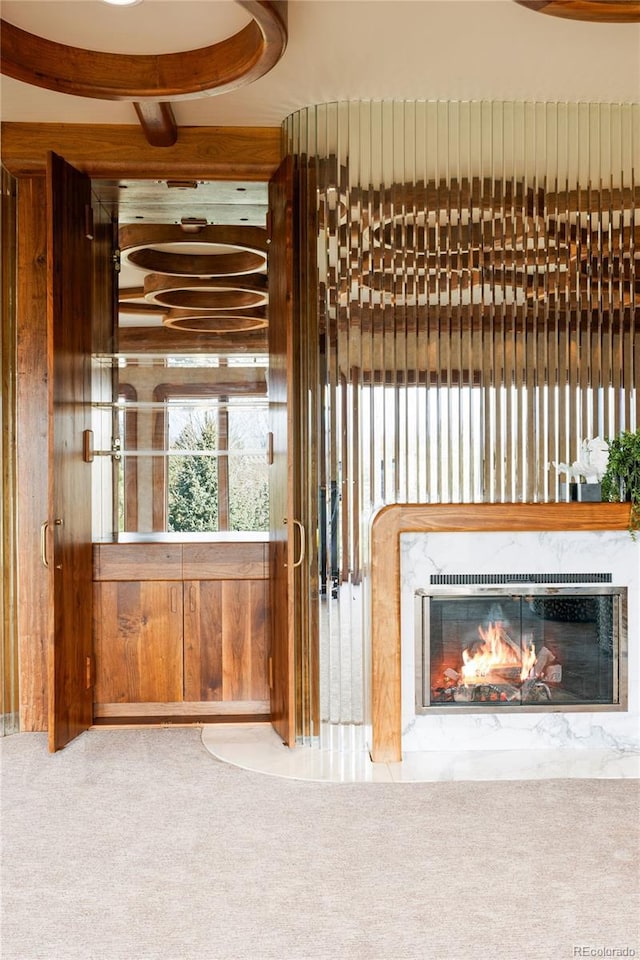 9 Sedgwick Dr, Englewood, CO 80113 - detailed view of a high end fireplace and carpet flooring