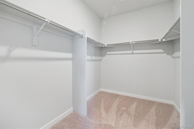 14151 Deertrack Ln, Parker, CO 80134 - photo 20