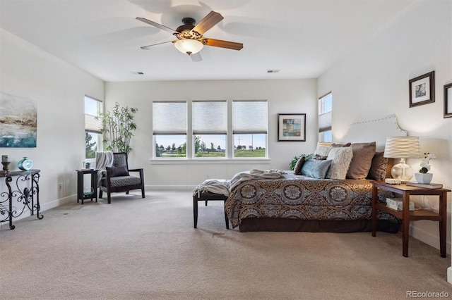 5605 Killen Ave, Castle Rock, CO 80104 - bedroom featuring multiple windows, carpet flooring, and a ceiling fan