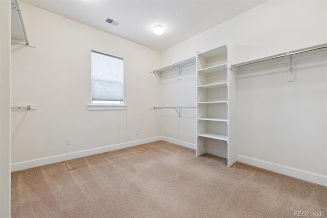 5605 Killen Ave, Castle Rock, CO 80104 - spacious closet featuring light carpet