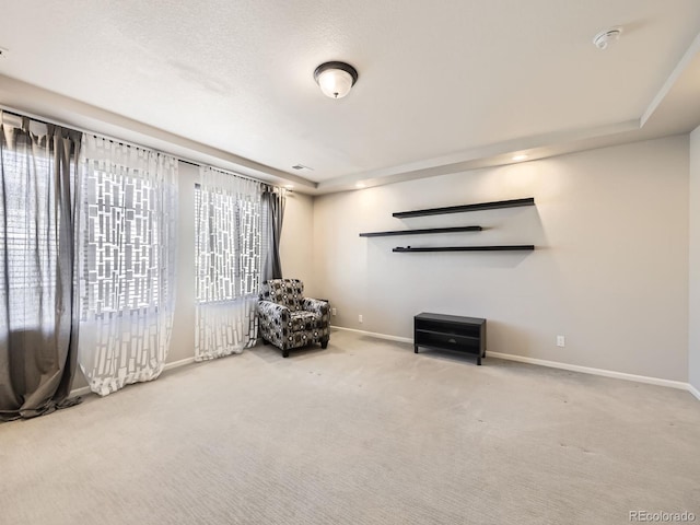 unfurnished room featuring carpet flooring and a raised ceiling