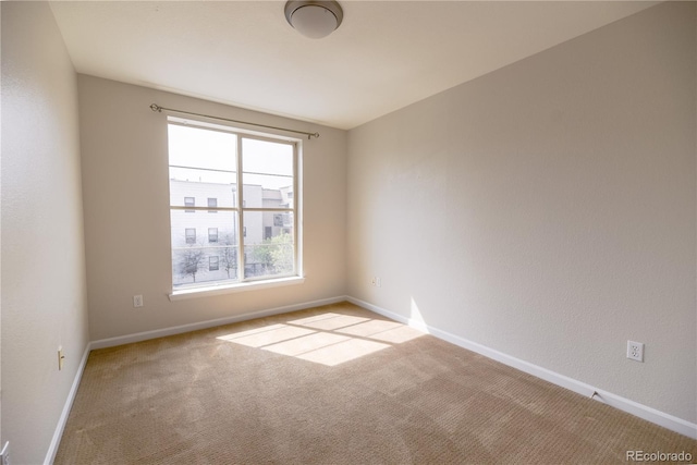 451 S Reed St, Lakewood, CO 80226 - unfurnished room featuring carpet and baseboards