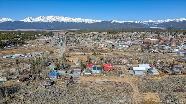 1221/2 S Toledo Ave, Leadville, CO 80461