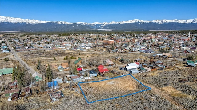1221/2 S Toledo Ave, Leadville, CO 80461