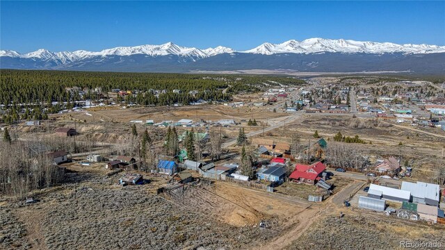 1221/2 S Toledo Ave, Leadville, CO 80461