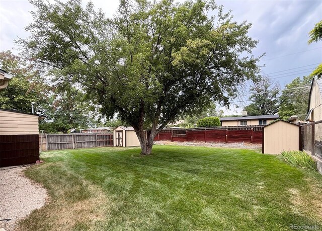 7185 Vrain St, Westminster, CO 80030 - photo 15