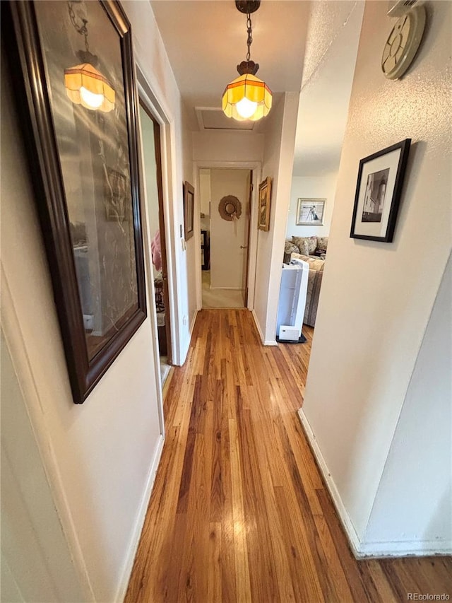 7185 Vrain St, Westminster, CO 80030 - photo 13