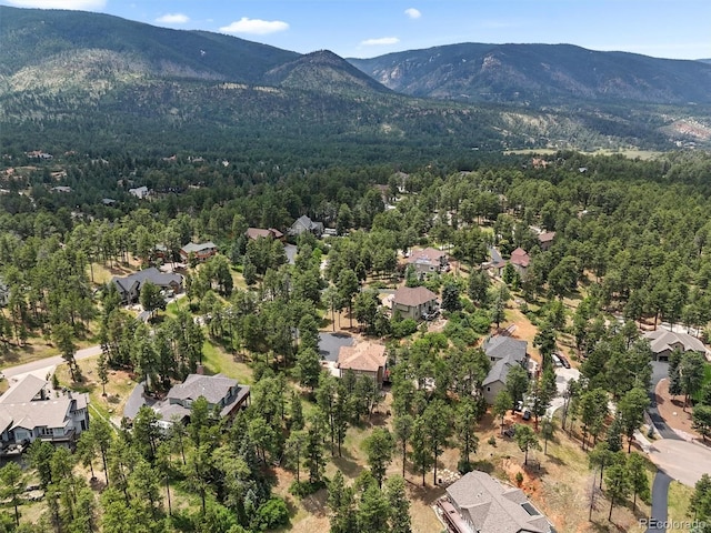 4535 Shoshone Dr, Larkspur, CO 80118 - photo 4