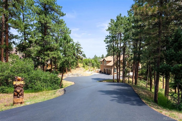 4535 Shoshone Dr, Larkspur, CO 80118 - photo 9