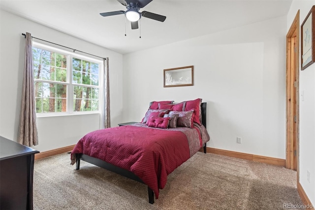 4535 Shoshone Dr, Larkspur, CO 80118 - photo 24
