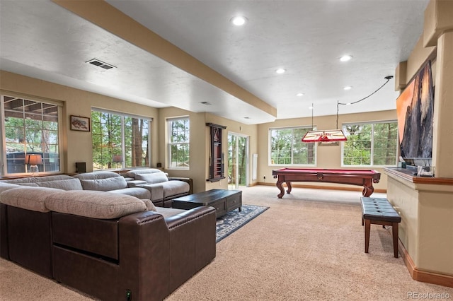 4535 Shoshone Dr, Larkspur, CO 80118 - photo 40