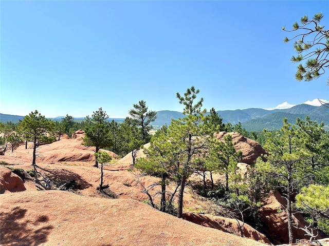 4535 Shoshone Dr, Larkspur, CO 80118 - photo 46