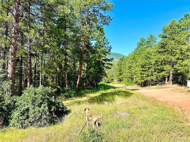 4535 Shoshone Dr, Larkspur, CO 80118 - photo 47