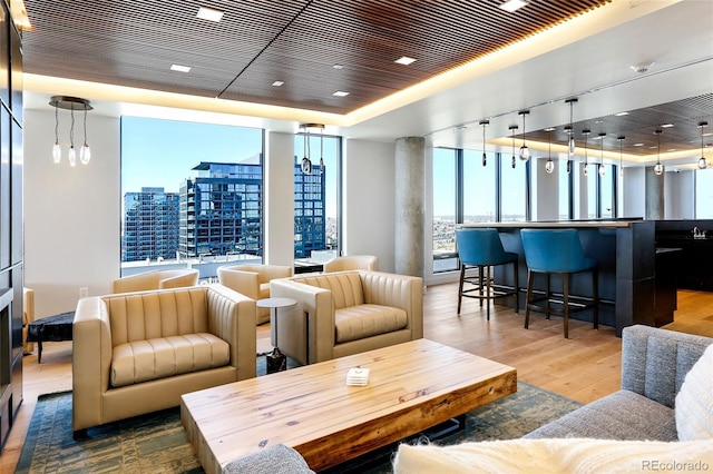 living room with a tray ceiling and hardwood / wood-style floors