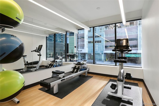 gym featuring hardwood / wood-style floors