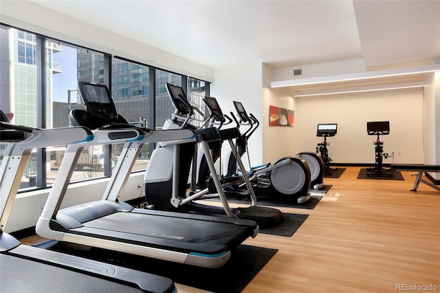 exercise room featuring hardwood / wood-style floors